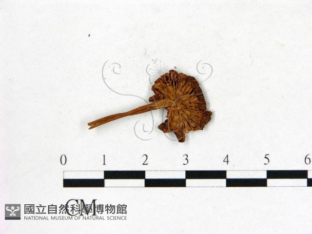 登錄號:F0008480藏品圖，第3張