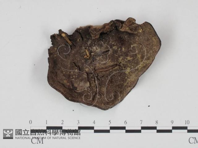 登錄號:F0002480藏品圖，第3張