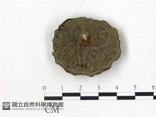 登錄號:F0012480藏品圖，第3張