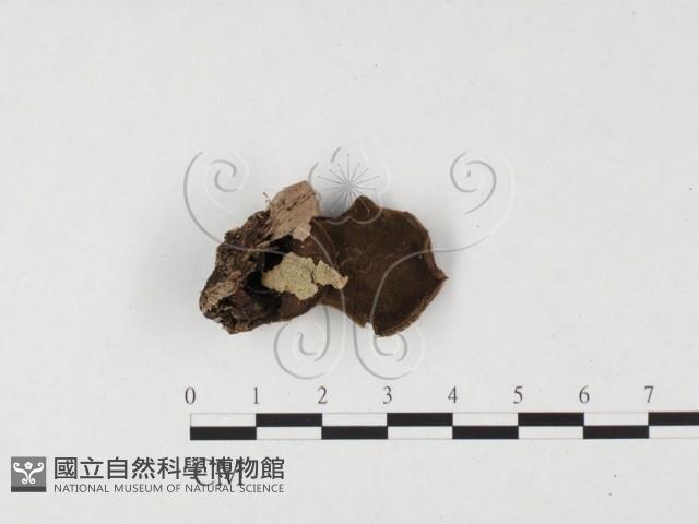 登錄號:F0001780藏品圖，第3張