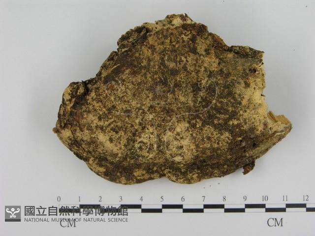 登錄號:F0012780藏品圖，第3張