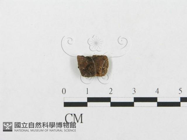 登錄號:F0015780藏品圖，第3張