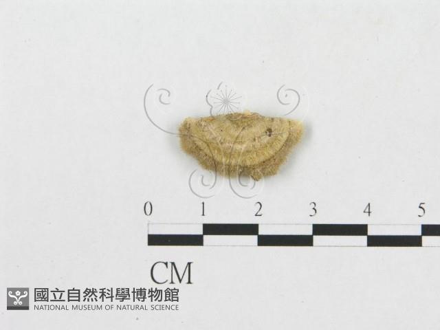 Accession Number:F0009780 Collection Image, Figure 3, Total 3 Figures