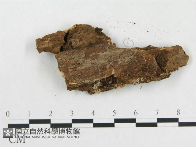 登錄號:F0006580藏品圖，第3張