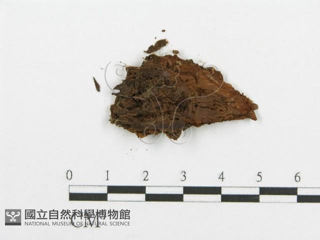 登錄號:F0016580藏品圖，第3張