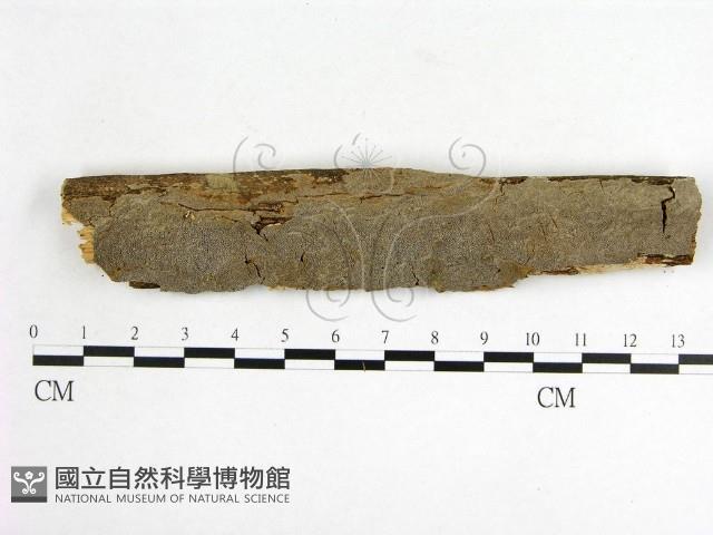 登錄號:F0001580藏品圖，第1張