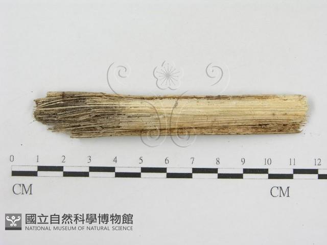 登錄號:F0007580藏品圖，第3張