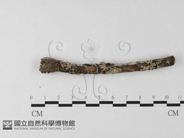 登錄號:F0025580藏品圖，第3張