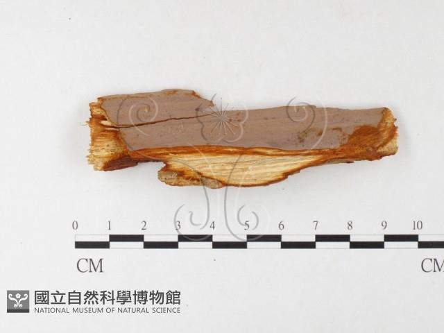 登錄號:F0026180藏品圖，第1張