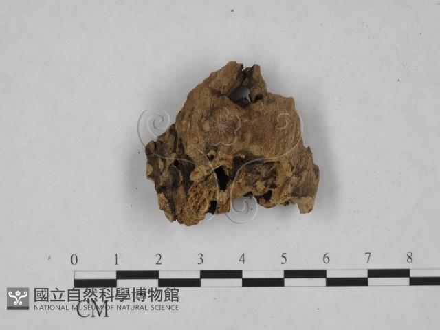 登錄號:F0022180藏品圖，第3張