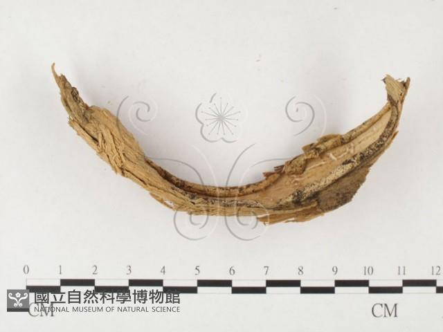登錄號:F0003180藏品圖，第3張