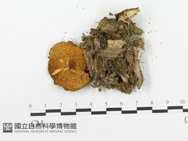 登錄號:F0016080藏品圖，第3張