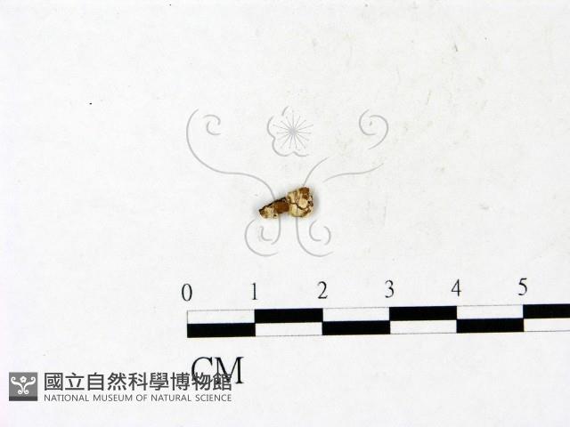 登錄號:F0022080藏品圖，第3張