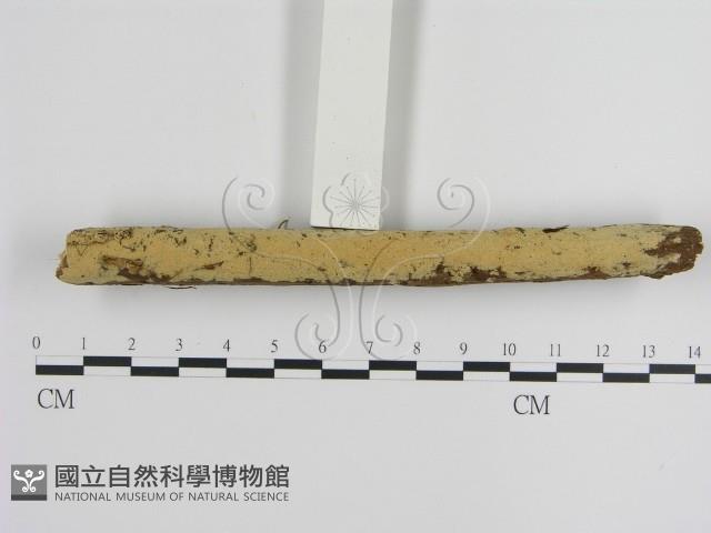 登錄號:F0000380藏品圖，第3張