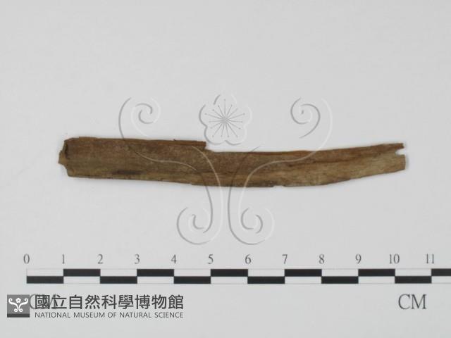 登錄號:F0010380藏品圖，第3張