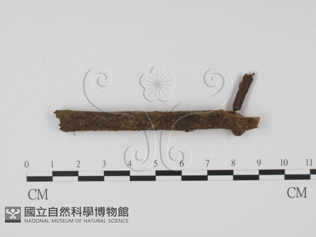 登錄號:F0005380藏品圖，第3張