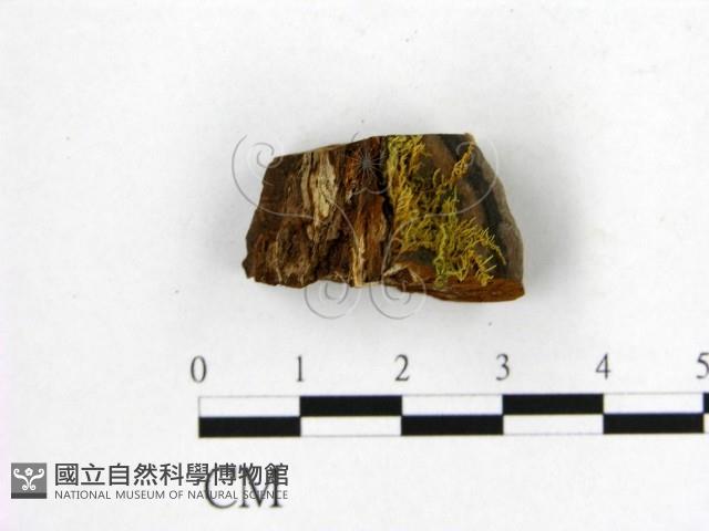 登錄號:F0006206藏品圖，第3張