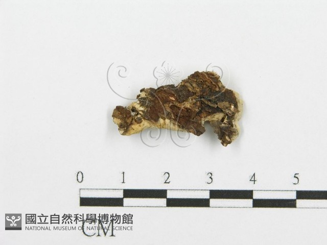 登錄號:F0009406藏品圖，第3張
