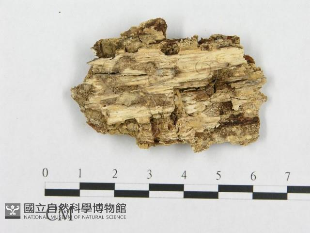 登錄號:F0007106藏品圖，第3張