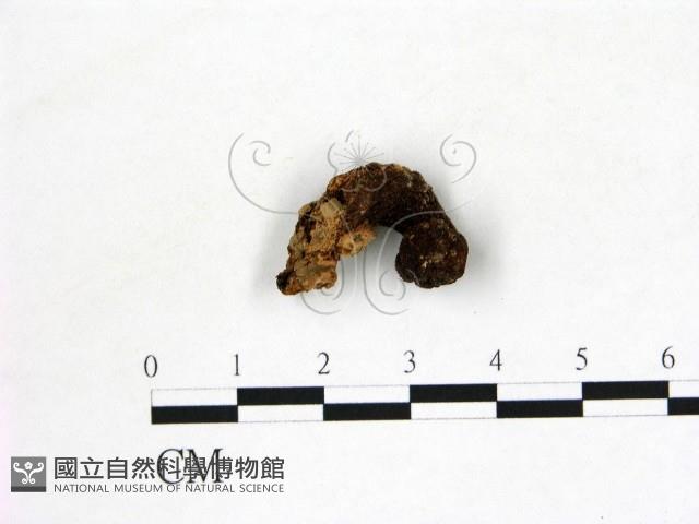 登錄號:F0001006藏品圖，第3張