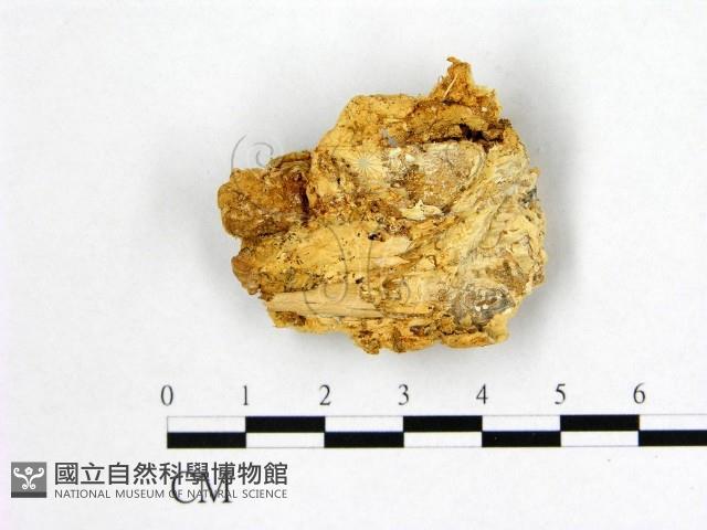 登錄號:F0007006藏品圖，第3張