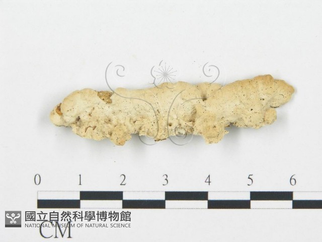 登錄號:F0006016藏品圖，第3張