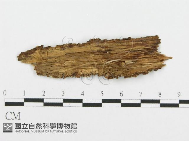 登錄號:F0005016藏品圖，第3張