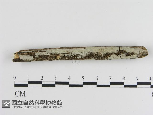 登錄號:F0004296藏品圖，第3張