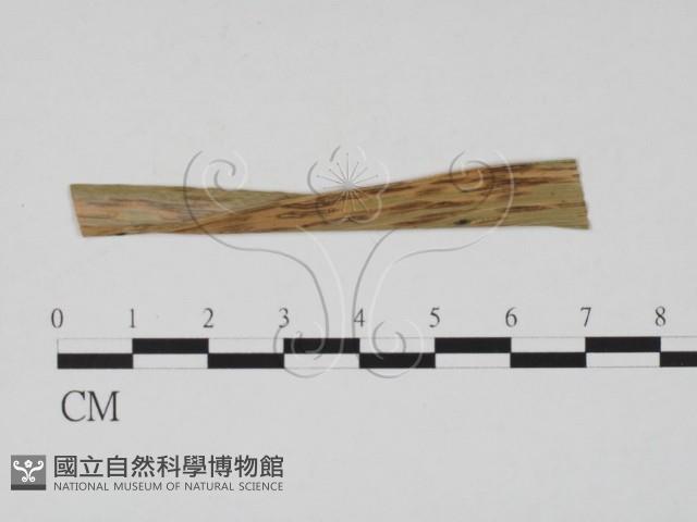 登錄號:F0011896藏品圖，第3張