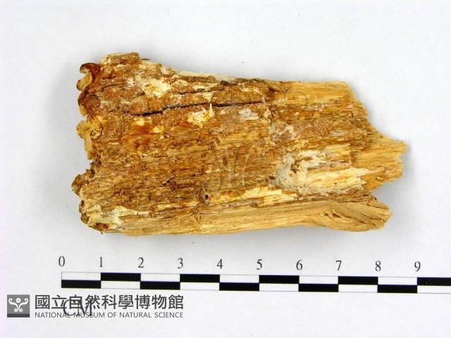 登錄號:F0006996藏品圖，第3張