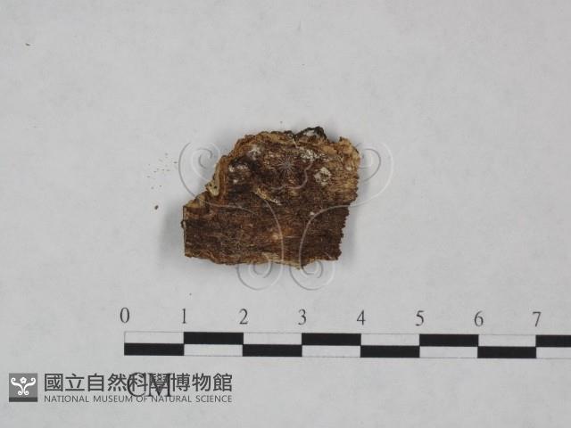 登錄號:F0024996藏品圖，第3張