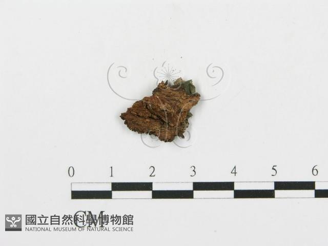 登錄號:F0004996藏品圖，第3張