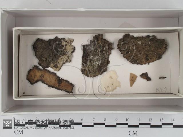 登錄號:F0017996藏品圖，第3張