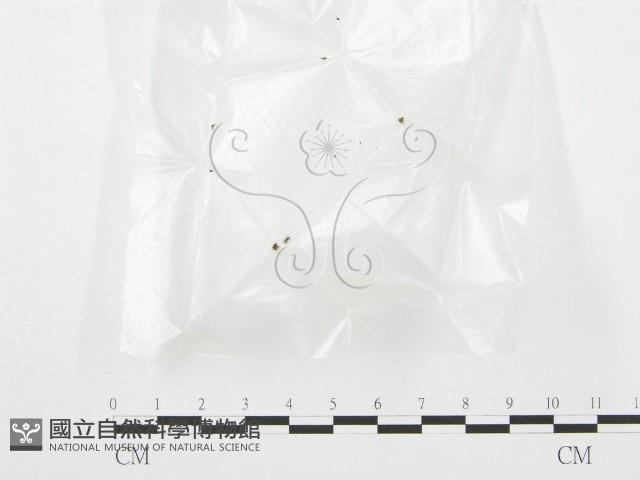 登錄號:F0000696藏品圖，第3張