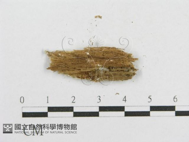 登錄號:F0016696藏品圖，第3張