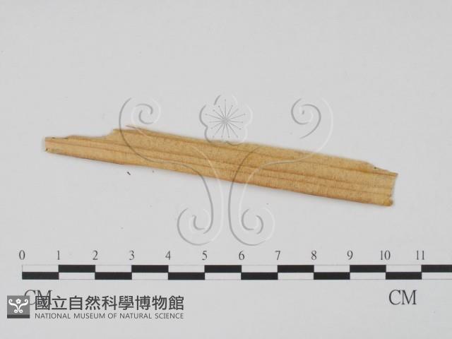 登錄號:F0011696藏品圖，第3張