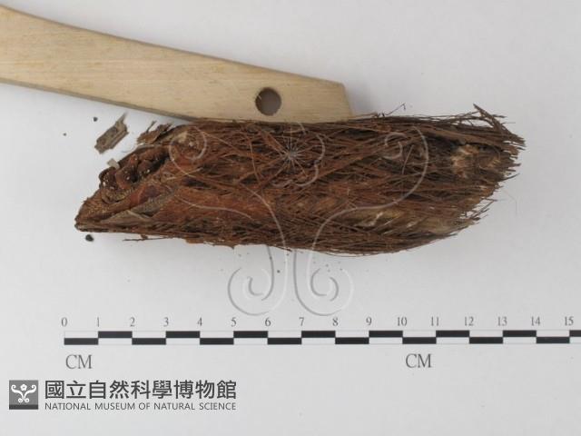 登錄號:F0023496藏品圖，第3張