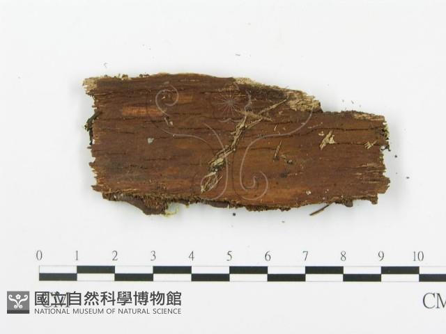 登錄號:F0013496藏品圖，第3張