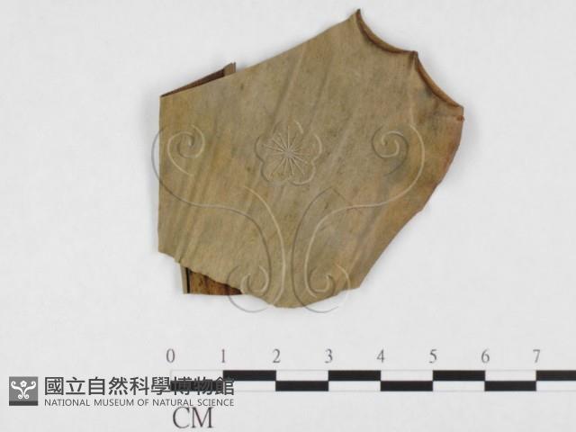 登錄號:F0026796藏品圖，第3張