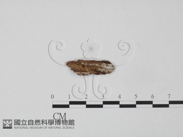登錄號:F0016796藏品圖，第3張
