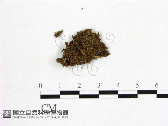 登錄號:F0000596藏品圖，第3張