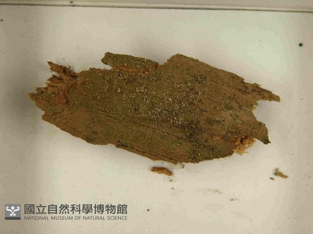 登錄號:F0021596藏品圖，第3張