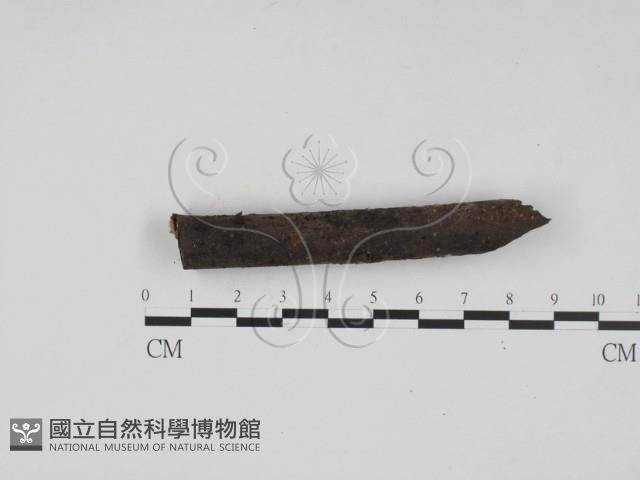 登錄號:F0020196藏品圖，第3張