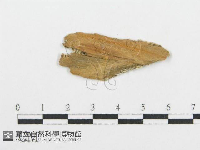 登錄號:F0006096藏品圖，第3張