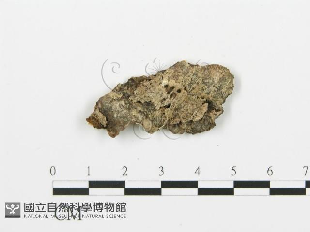 登錄號:F0006396藏品圖，第3張