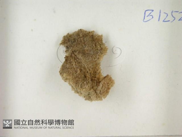 登錄號:F0021396藏品圖，第3張