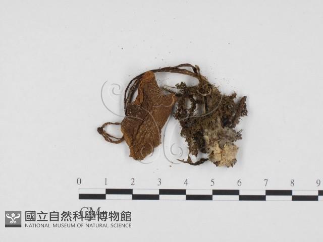 登錄號:F0024396藏品圖，第3張