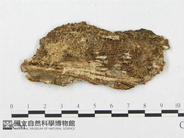 登錄號:F0007286藏品圖，第3張