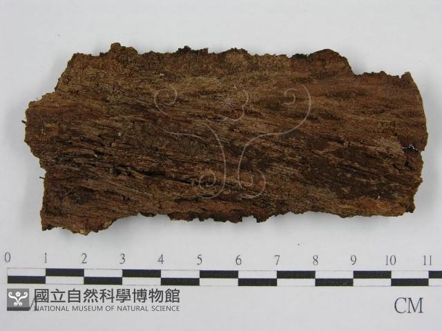 登錄號:F0000886藏品圖，第3張
