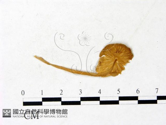 登錄號:F0022886藏品圖，第3張